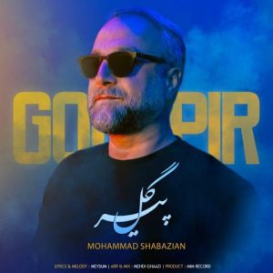 محمد شابازیان – گل پیر